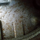 It’s hard to take a picture inside a gas tank as it turns out.